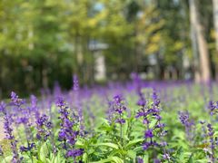 -中家鑫园温泉酒店鑫悦汤泉