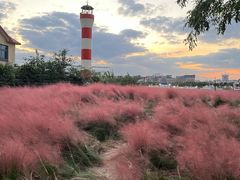 -上海山野camping·户外天幕烧烤·团建拓展营地