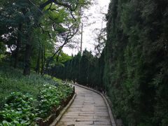 -观象山公园