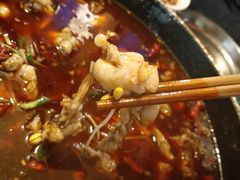 -仔耳朵冷锅鱼蛙芋儿鸡(莲花东路店)