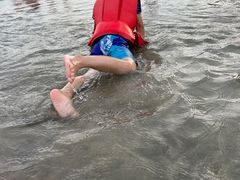 -那琴半岛地质海洋公园