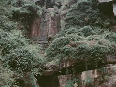 -庐山碧龙潭风景区