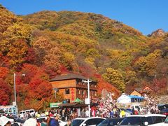 -天女山森林公园