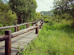 景点-北极村旅游风景区