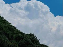 -少华山国家森林公园