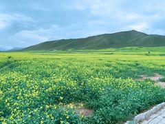 -扁都口生态休闲旅游区