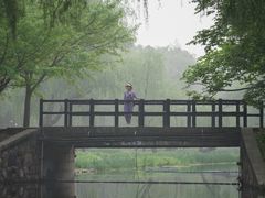 -上海共青森林公园