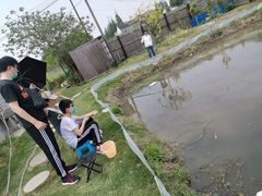 -南汇新场正宗水蜜桃采摘