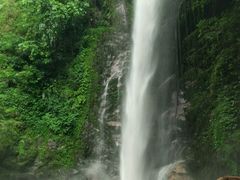 -莫里热带雨林景区