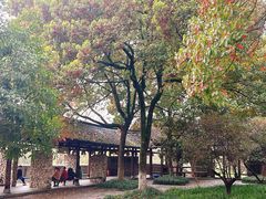 -西溪国家湿地公园