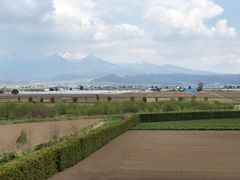 -富田农场