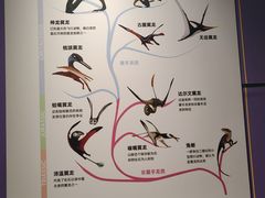 -辽宁古生物博物馆