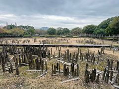 -河姆渡遗址博物馆