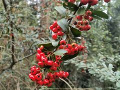 -重庆云阳龙缸景区