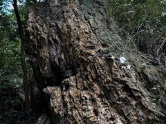 -飞霞风景名胜区