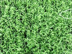 -名点一号·精致茶点·手工制作(宝华店)