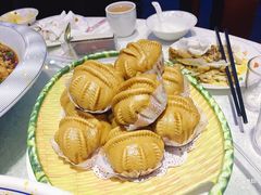 -新概念来凤鱼(璧山店)