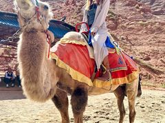 -天山神秘大峡谷