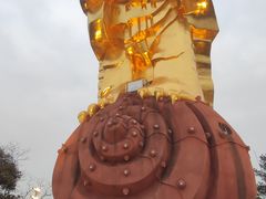 -南山植物园