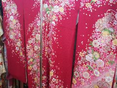 -樱京和服租赁体验(京都总店)