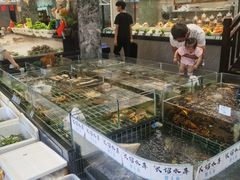 -大灶头·新昌菜(中国茶市店)