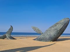 -烟台金沙滩海滨公园