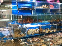 -岳各庄批发市场(西四环中路店)