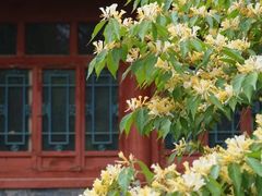 -北京动物园
