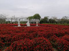 -广东花都香草世界旅游度假区