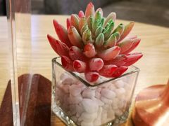 -北京广安门维景国际大酒店