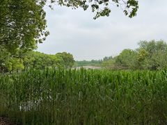 -沙家浜风景区