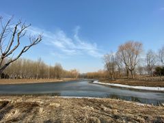 -东郊湿地公园