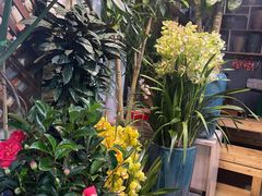 -朝来春花卉市场