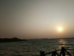 -丁香湖公园