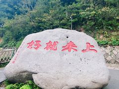 -普陀山风景区-佛顶山