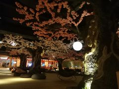 -蓝鲸湾汤泉(包河店)