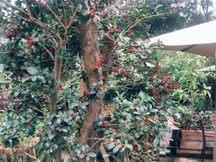 -丫口花园餐厅·融合菜