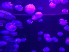 -多彩贵州城极地海洋世界