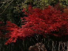 -城市运动公园(未央区)