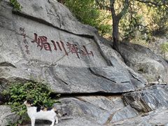 -泰山风景名胜区