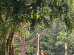 -人民公园(罗湖区)