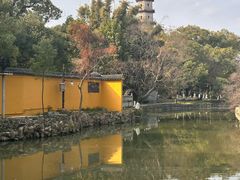 -江心屿景区