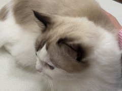 -美联众合24小时·皮肤科·外科·全科诊疗中心(华苑分院)