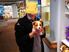 -白金汉宫