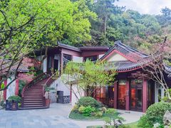 -十八棵（老龙井）御茶园(老龙井店)
