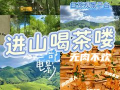 -阿露佳·舌尖上的安吉菜