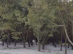 -秦始皇帝陵博物院-丽山园