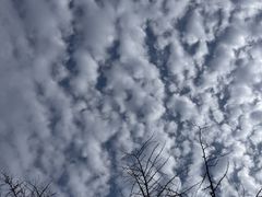 -棒棰岛宾馆景区