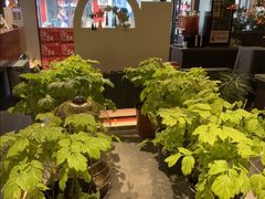 -杏花村水席楼·洛阳水席(老城十字街店)