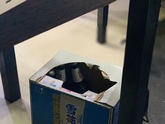 -韩风烤牛肉冷面店